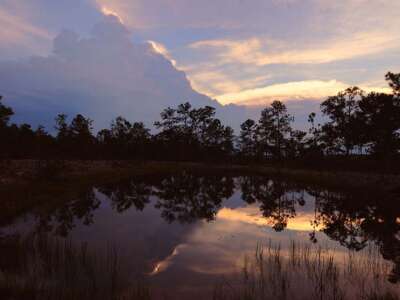 lowland-savanna-sunset