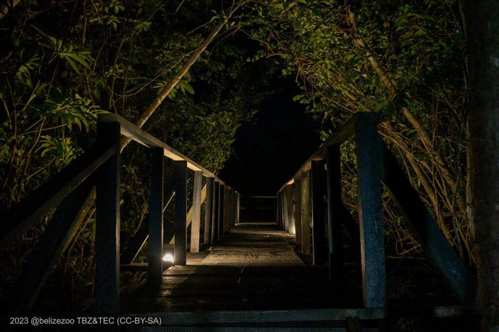 tec boardwalk to guest house