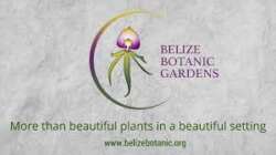 Belize Botanic Gardens Belize Botanic Gardens