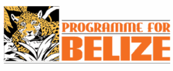 logo-programmeforbelize logo-programmeforbelize